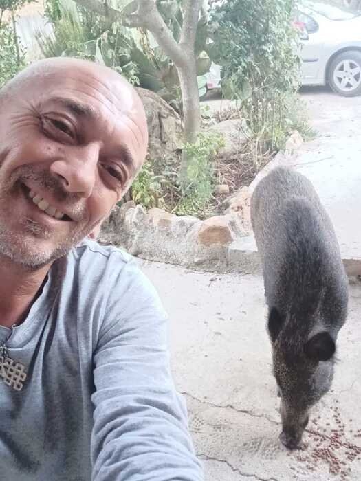 L'uomo che sussurra ai cinghiali nel bosco siciliano 1 2876a924c5648870a188c87f93e795e9