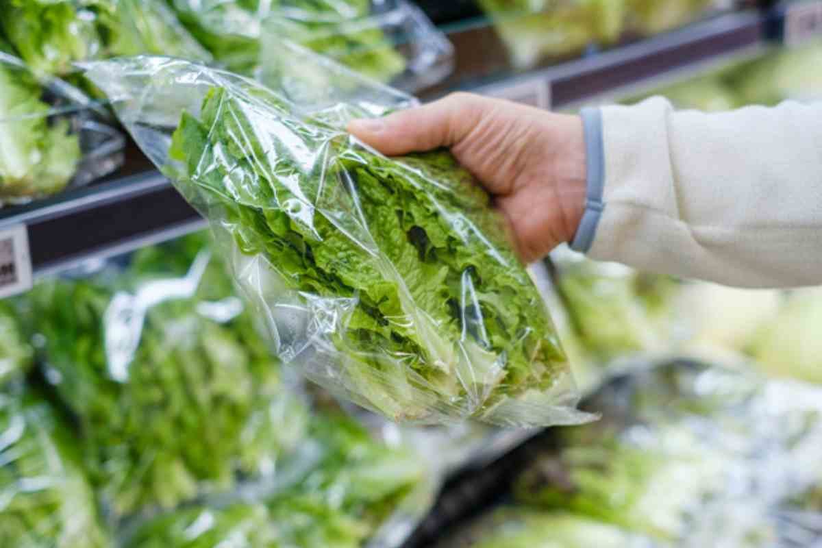Insalate in busta richiamate per rischio contaminazione da Listeria. I marchi interessati 4 insalata in busta