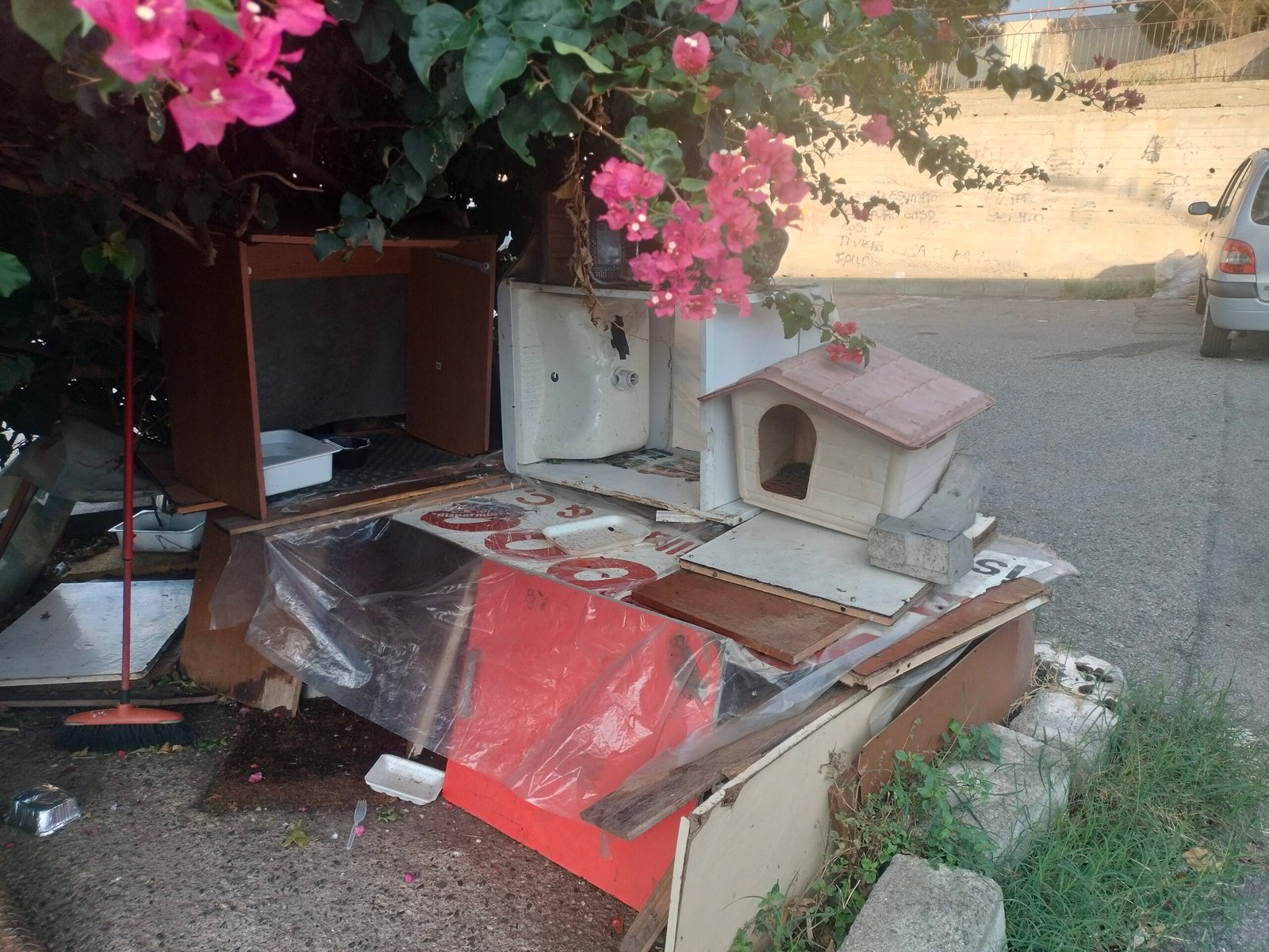 scuola green2 scaled