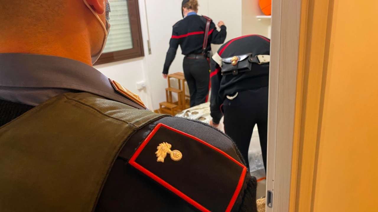 Perquisizione e ispezione