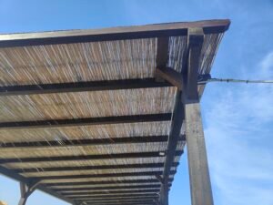 area pesce cantato ristrutturata6