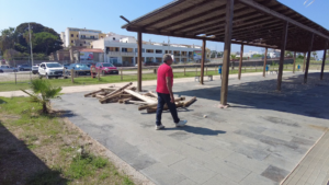 area pesce cantato10