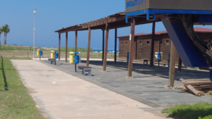 area pesce cantato12