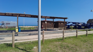 area pesce cantato13