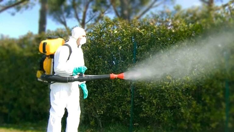 disinfestazione-1