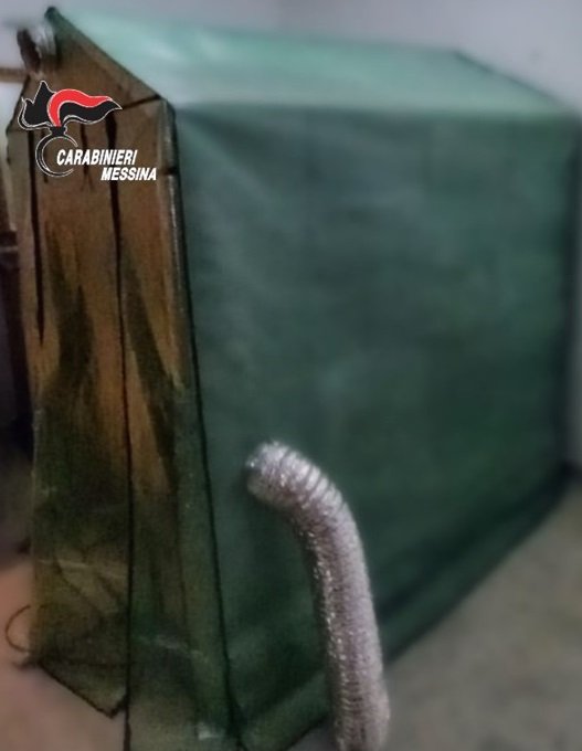 Una serra costruita artigianalmente in casa per produrre marijuana, 49enne arrestato dai Carabinieri. Sequestrate 15 piante di cannabis. 2 foto serra
