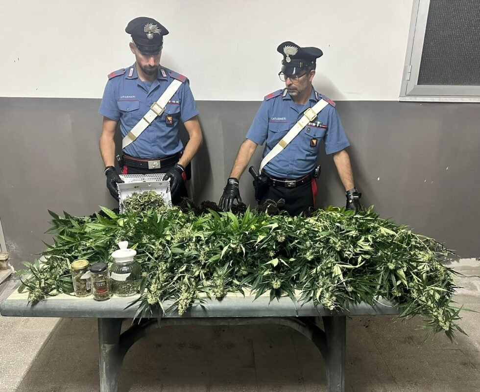 Una serra costruita artigianalmente in casa per produrre marijuana, 49enne arrestato dai Carabinieri. Sequestrate 15 piante di cannabis. 1 foto uno4