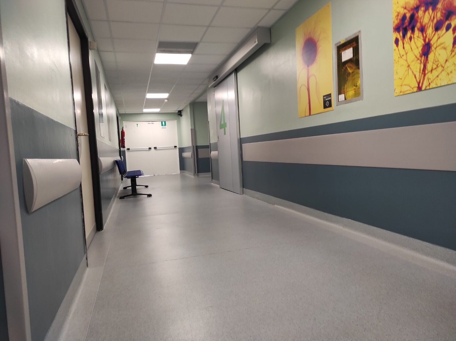 radiologia papardo rotated