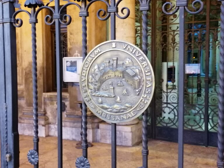 Università - Semestre filtro, la protesta degli studenti DSA: "Così si rischia di lasciare indietro migliaia di ragazzi"
