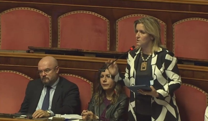 VIDEO - Piano strutturale di bilancio del Governo, Musolino IV "piano per austerità senza idea di crescita" 1 senato Musolino1