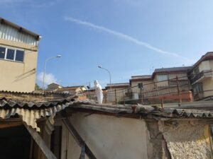 via evemero incaps 6