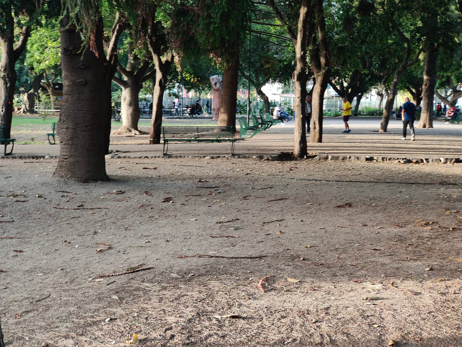 villa dante11 scaled