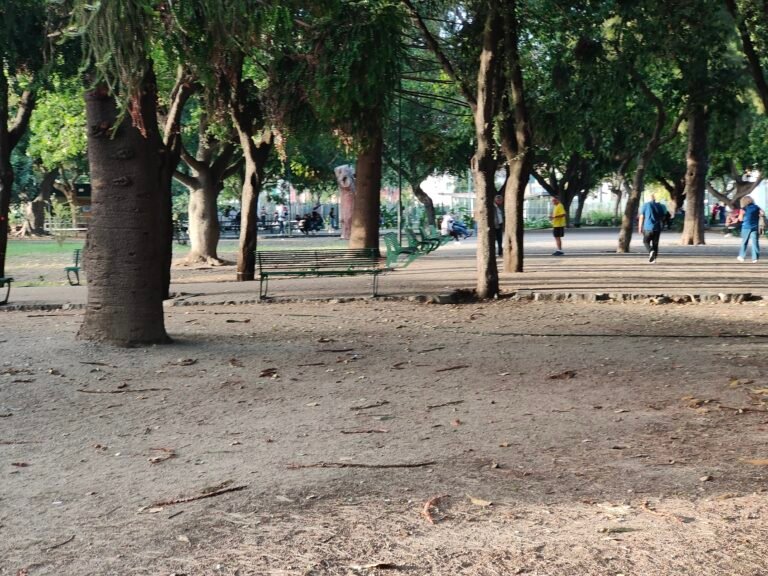 Grest a Villa Dante, pressing sulla sicurezza. Crocè: «Mai più i rischi del passato»