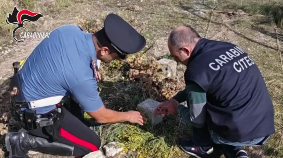 BRACCONAGGIO. CACCIA CON MEZZI VIETATI E MALTRATTAMENTO DI ANIMALI, 52ENNE DENUNCIATO DAI CARABINIERI 1 1000095511