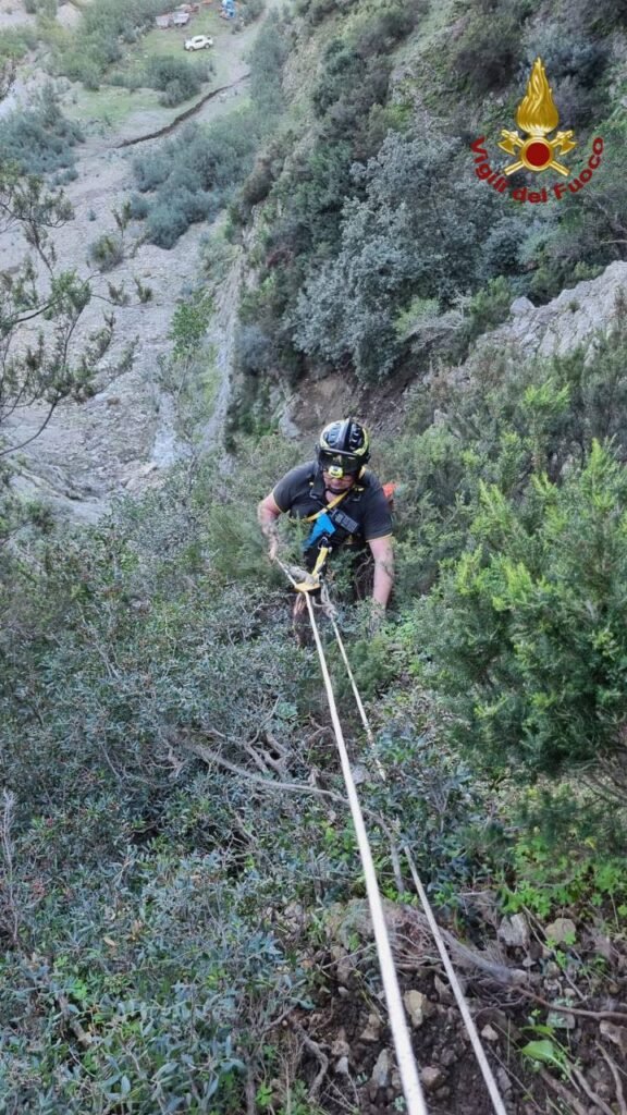 I Vigili del fuoco di Messina salvano cane sperduto in un costone 2 1000103506