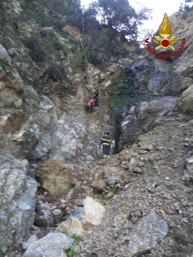 I Vigili del fuoco di Messina salvano cane sperduto in un costone 3 1000103508