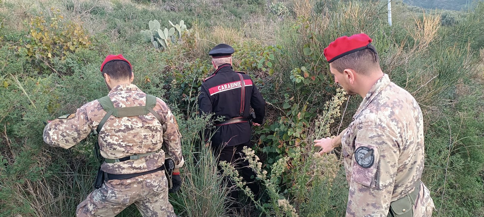 Foto Carabinieri in azione