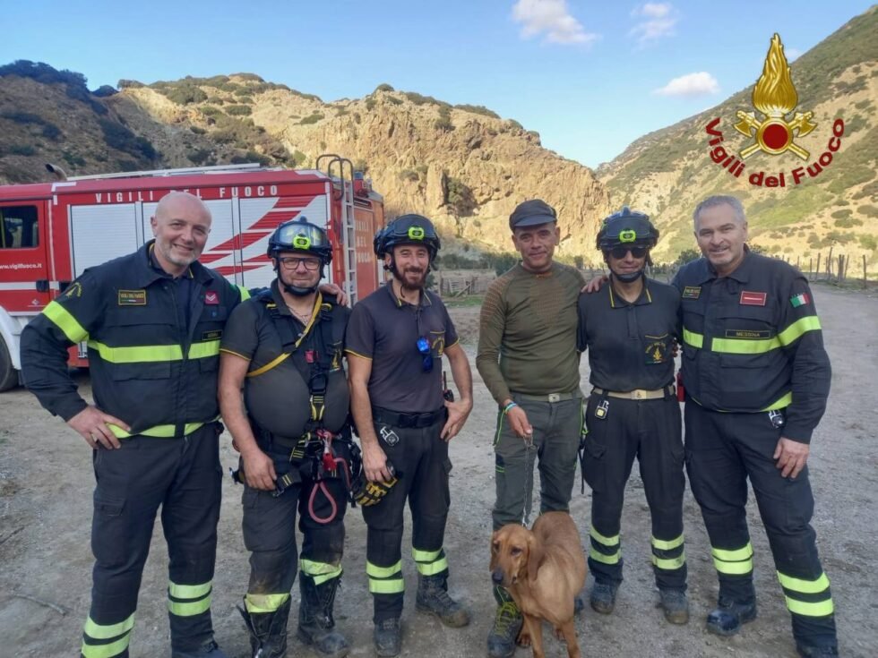 I Vigili del fuoco di Messina salvano cane sperduto in un costone 1 IMG 20241118 WA0121