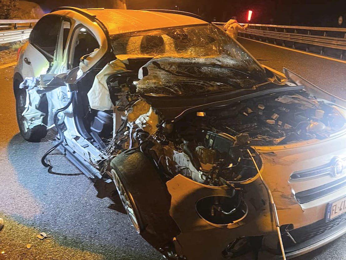 WhatsApp Image 2024 11 02 at 09.56.08