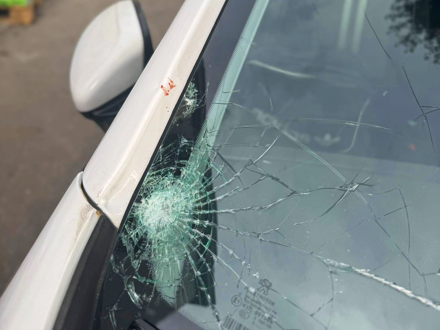 WhatsApp Image 2024 11 22 at 17.36.33 1