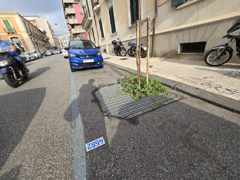 ATM, ZTL - Hai pagato il parcheggio? "Ma qui NON RISULTA" e ti becchi la MULTA. Malfunzionamenti ai palmari e operatori a rischio