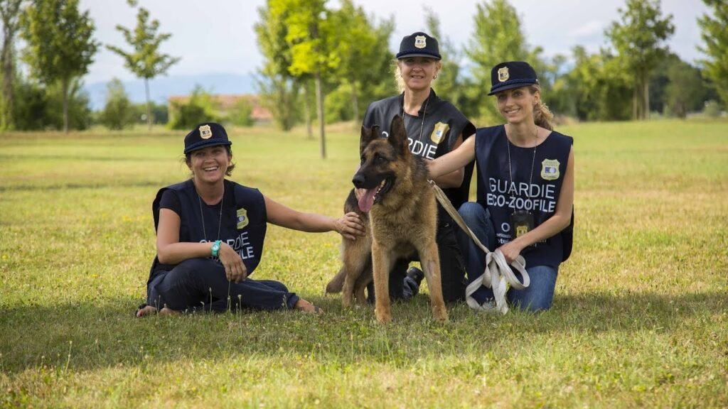 ANIMALI NON PIU' COSE, LA CAMERA APPROVA LEGGE SULLA TUTELA DEGLI ANIMALI. 3 oipa