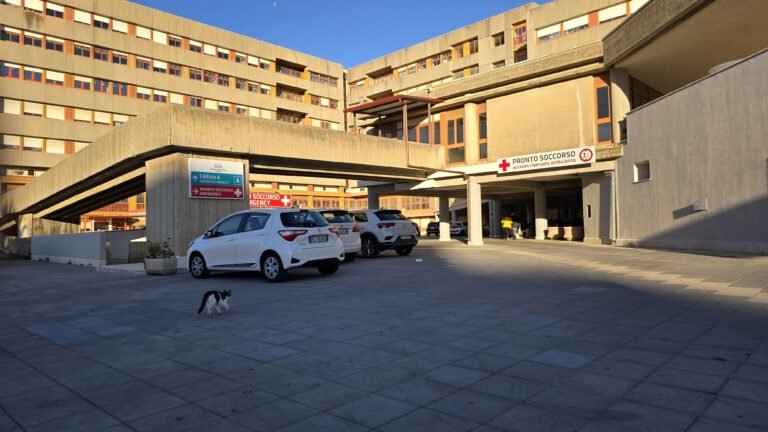 Lite tra fratelli sfocia nel sangue: 57enne arrestato per tentato omicidio