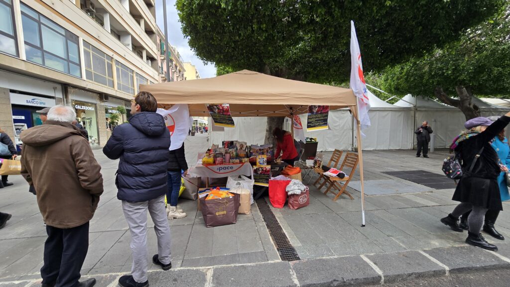 In piazza Cairoli il M5S raccoglie giocattoli per i reparti pediatrici e cibo e coperte per i randagi dei rifugi 4 20241229 120746