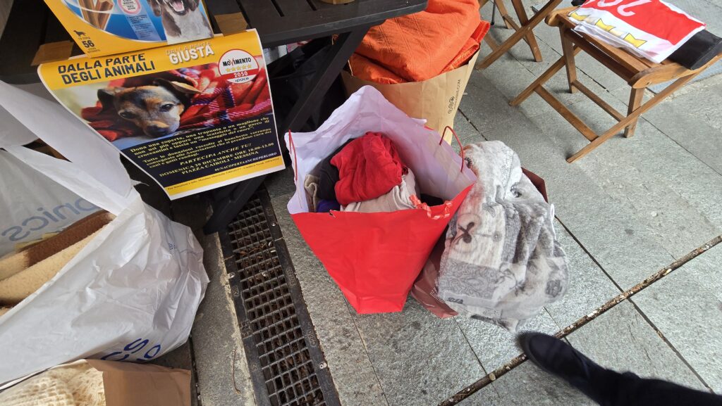 In piazza Cairoli il M5S raccoglie giocattoli per i reparti pediatrici e cibo e coperte per i randagi dei rifugi 3 20241229 120802