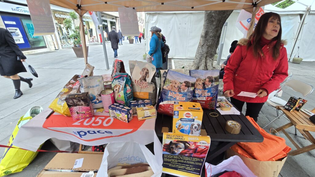 In piazza Cairoli il M5S raccoglie giocattoli per i reparti pediatrici e cibo e coperte per i randagi dei rifugi 2 20241229 120805