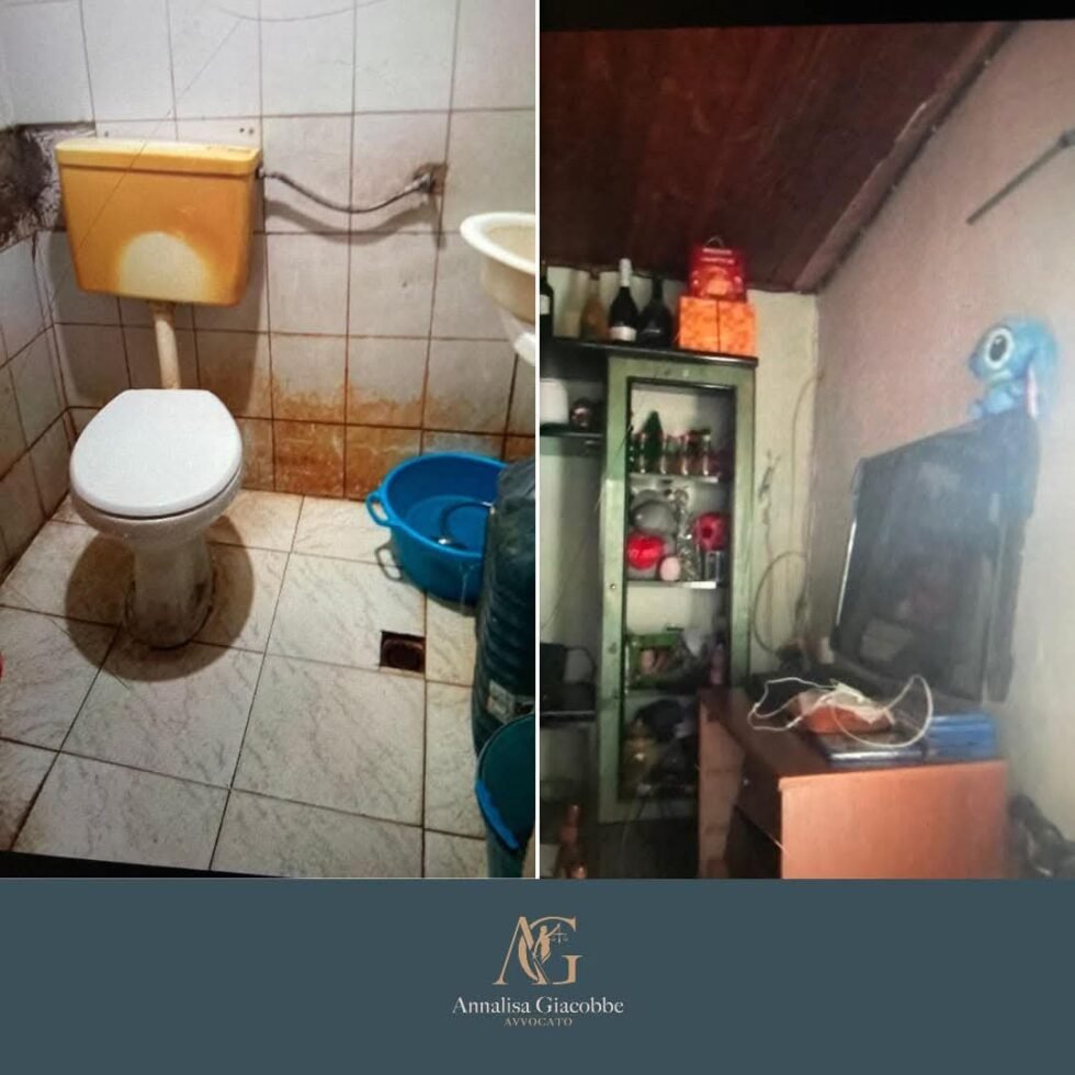 FB IMG 1734796022950