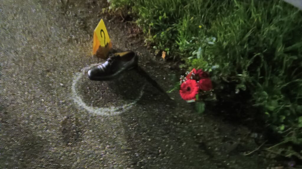 WhatsApp Image 2024 12 22 at 20.11.03