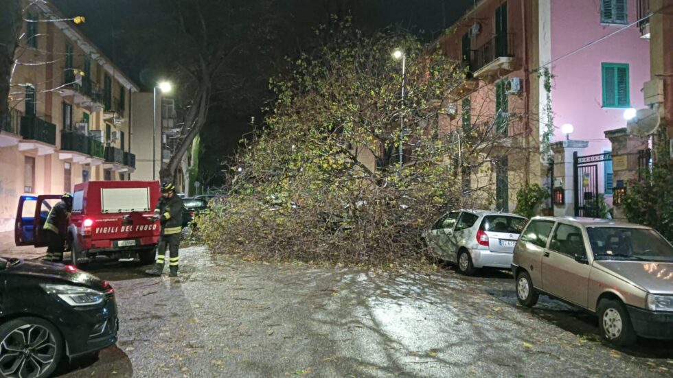 Maltempo, neve e raffiche di vento: allerta gialla sulla Sicilia e 8 regioni 1 WhatsApp Image 2024 12 23 at 18.19.35