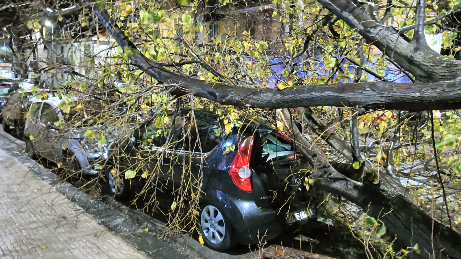 WhatsApp Image 2024 12 23 at 18.19.351