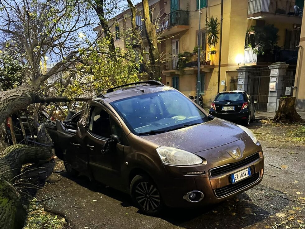 Pioggia e vento forte a Messina: vola anche una piscina da un tetto, cadono alberi e pali della luce 1 maltempo vento 2