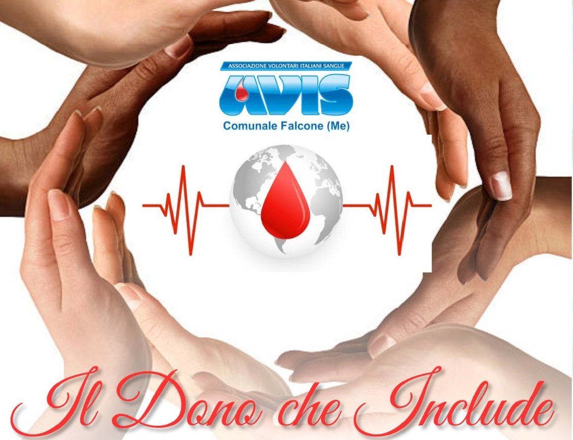 IMG 20241227 WA0031 1