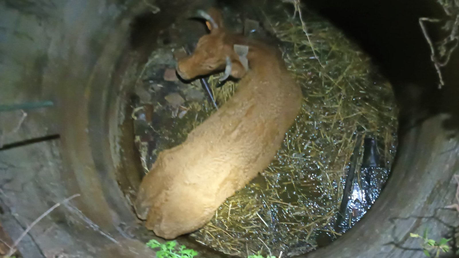 IMG 20250109 WA0025 scaled