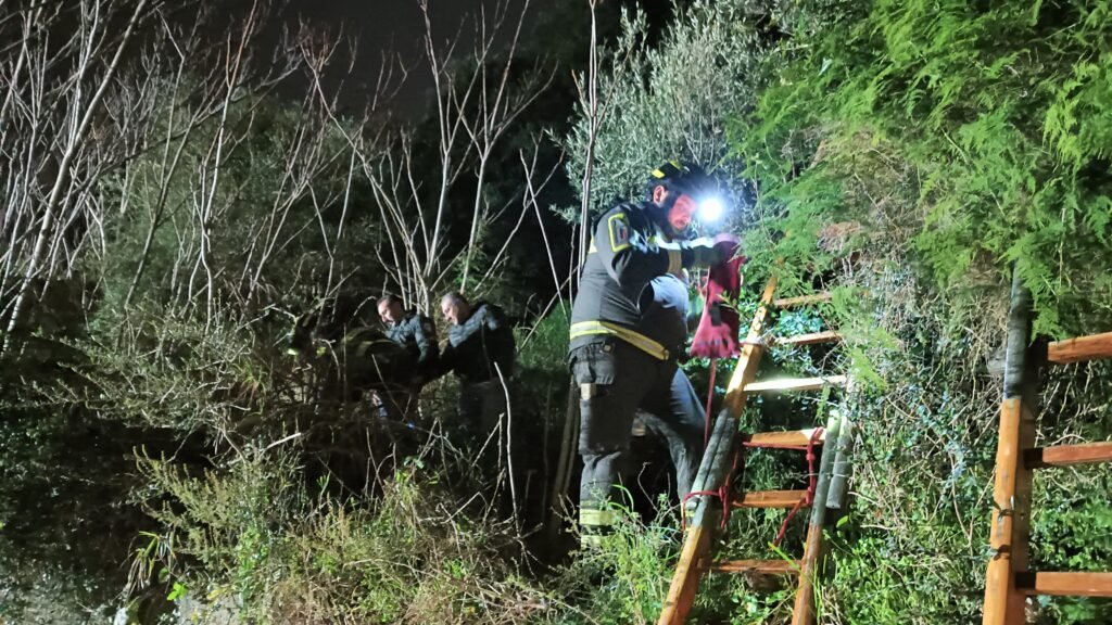 Minissale, vitellino cade in un pozzo. Intervengono i vigili del fuoco 2 IMG 20250109 WA0029