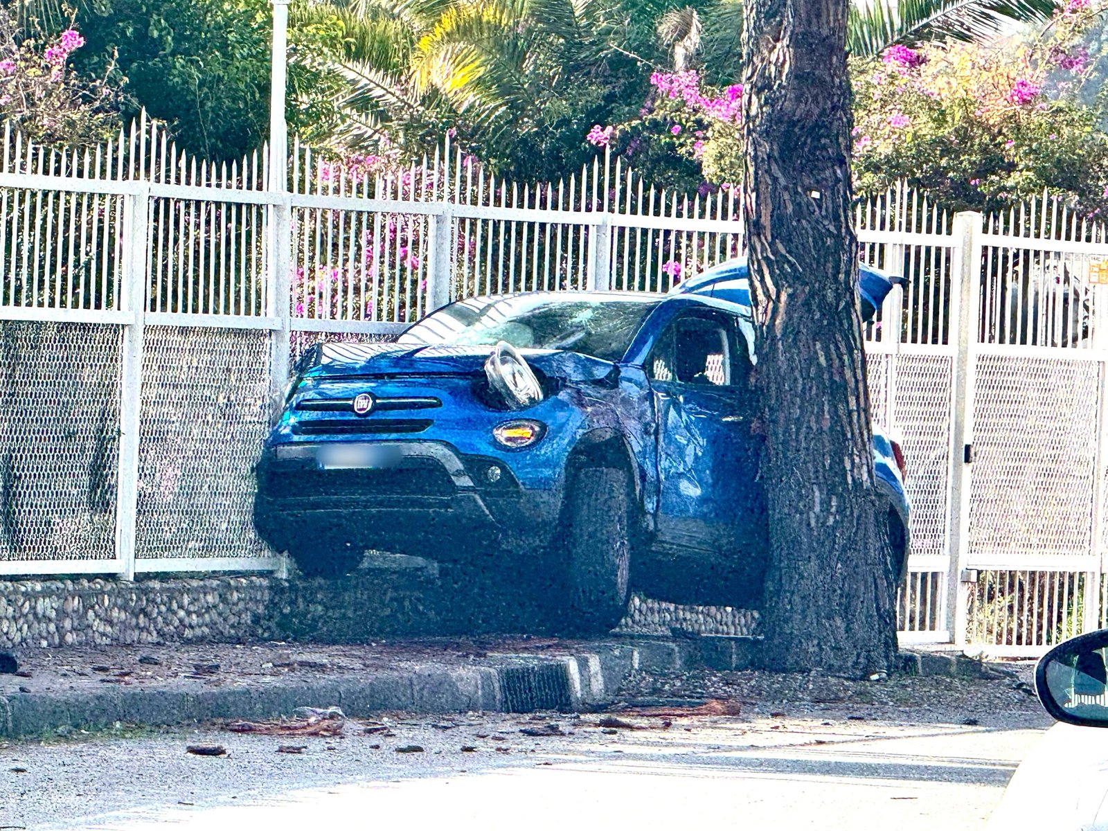 WhatsApp Image 2025 01 29 at 12.24.57 scaled