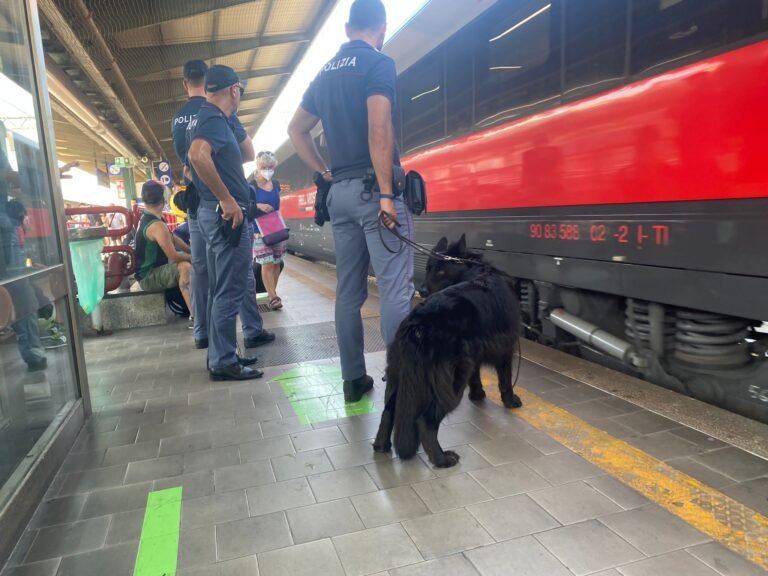POLFER: festività natalizie con 9 indagati e circa 6.500 persone controllate. A Messina cane antidroga scova marijuana addosso a passeggero