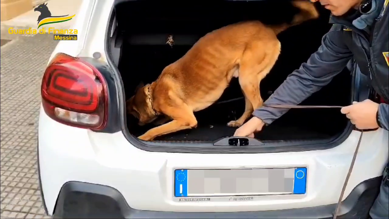 vlcsnap 2025 01 25 09h17m36s269