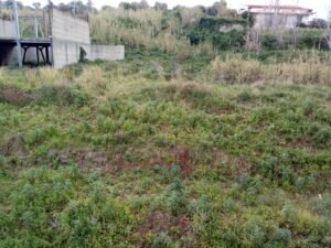 Case San Filippo esterno sterpaglie