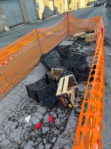 Perdita AMAM Minissale 4