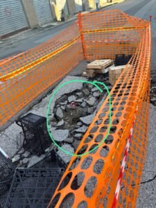 Perdita AMAM Minissale 5