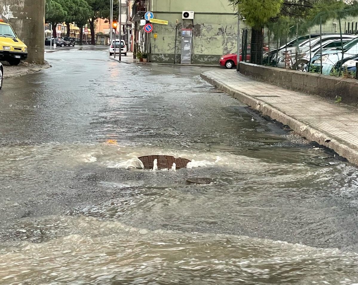 WhatsApp Image 2025 02 02 at 11.10.59