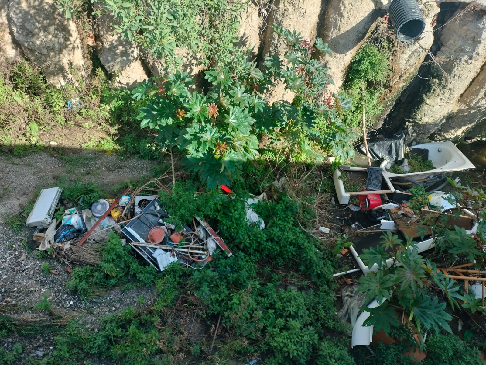 WhatsApp Image 2025 02 17 at 12.12.591