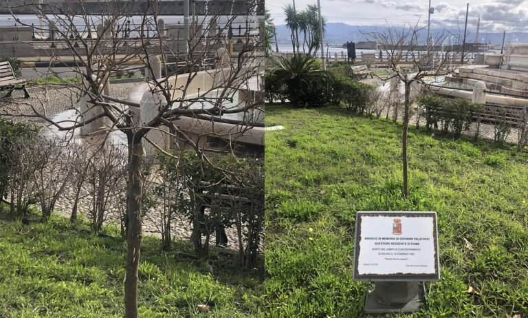 Quell'albero secco alla memoria di Giovanni Palatucci, morto a Dachau. Principato "sfregio deplorevole"
