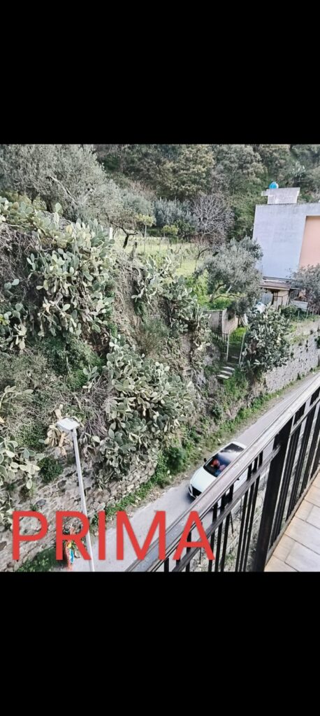 Consigliere Nunzio Signorino: "Frana a Cumia, un disastro annunciato. L'amministrazione comunale ha ignorato le mie segnalazioni" 6 1000159218
