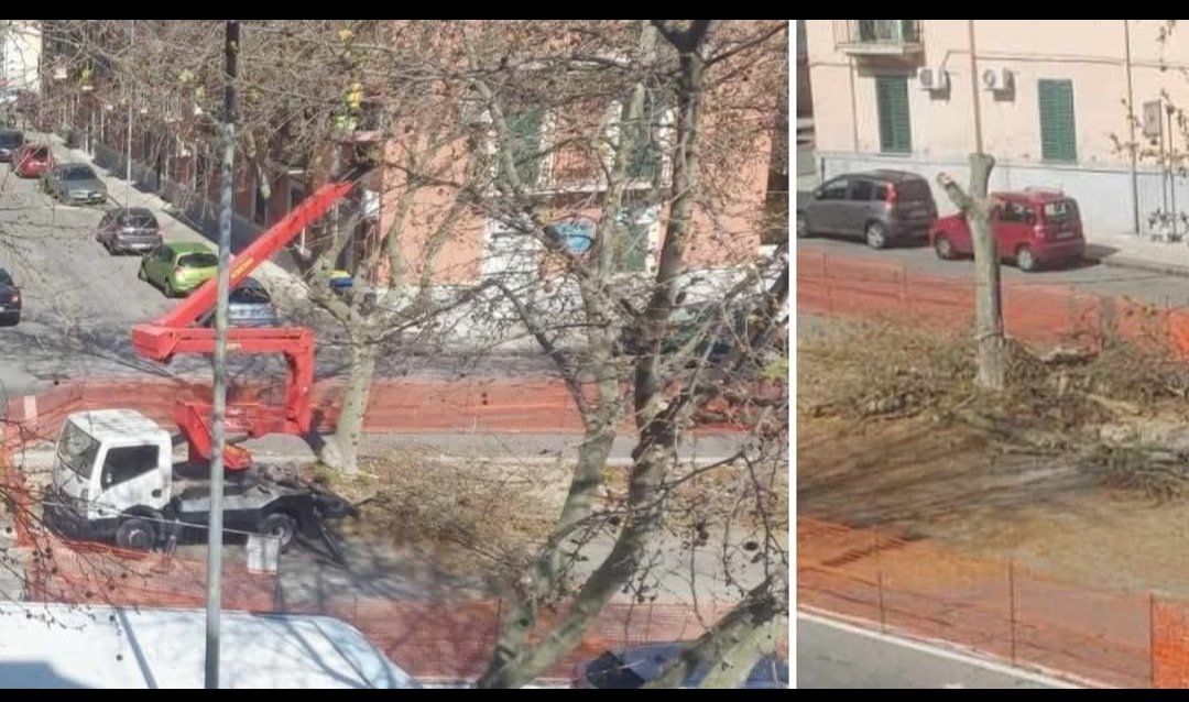 485838007 9671738532847848 5467359755217928344 n