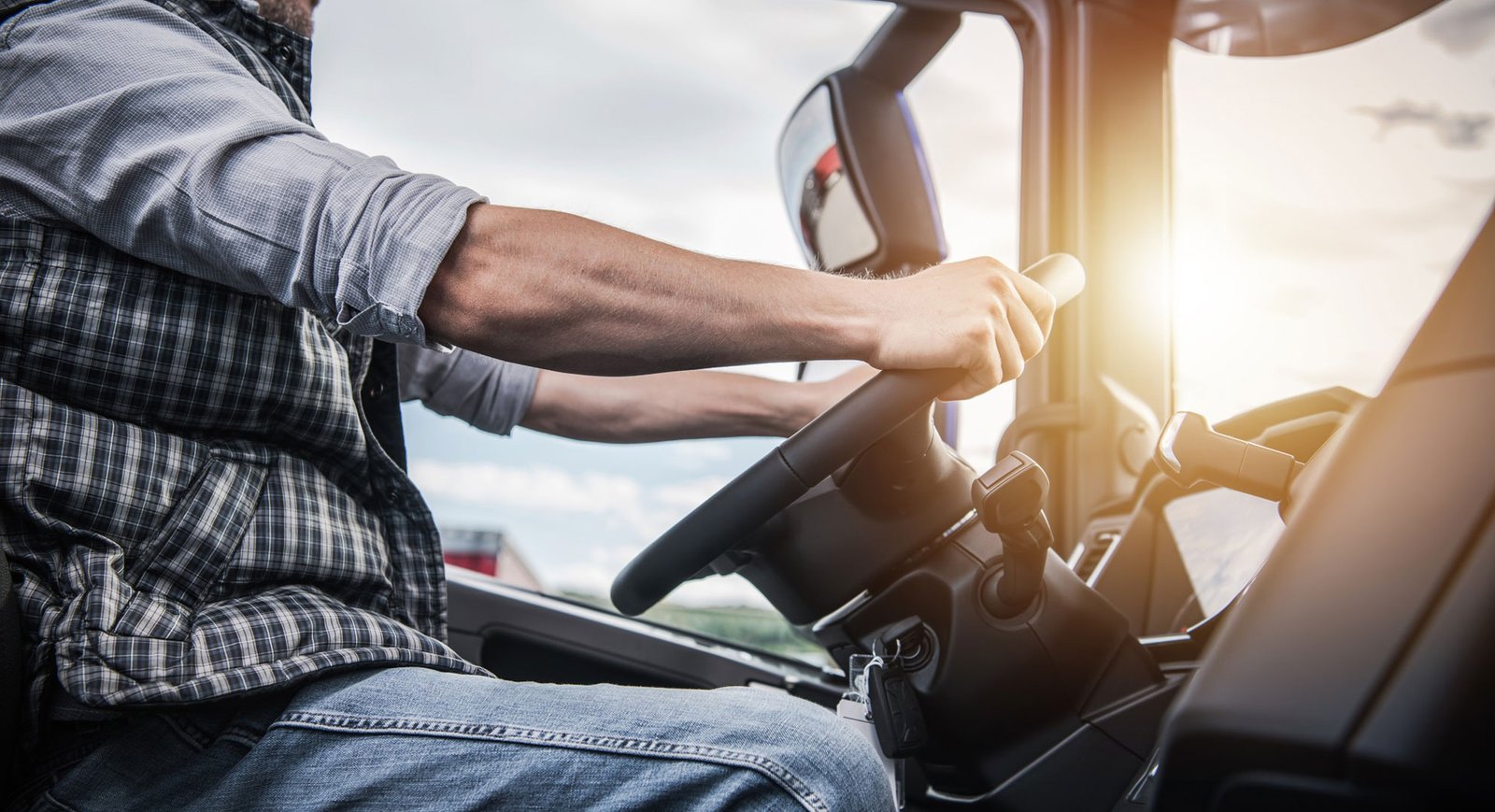 Autista camion 001 small 1980x1080 v6